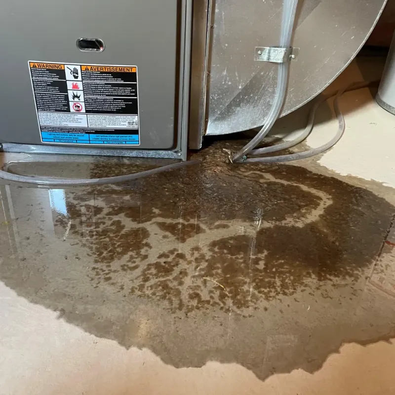 Appliance Leak Cleanup in Peru, IN